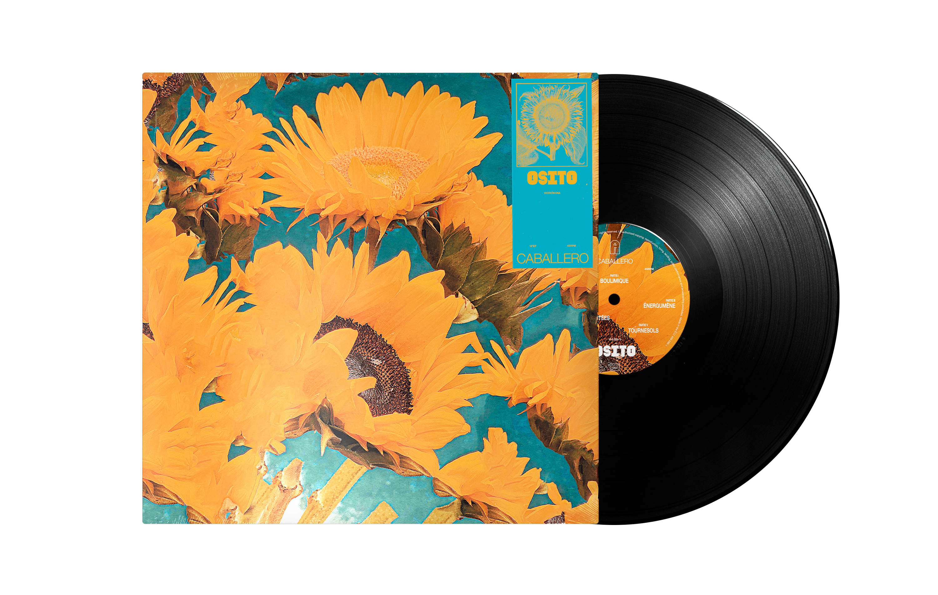 Caballero - Osito - version una